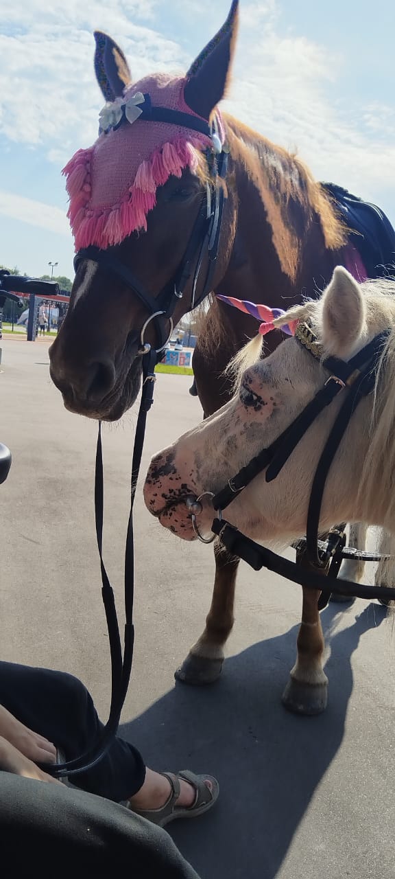 Мероприятие №15