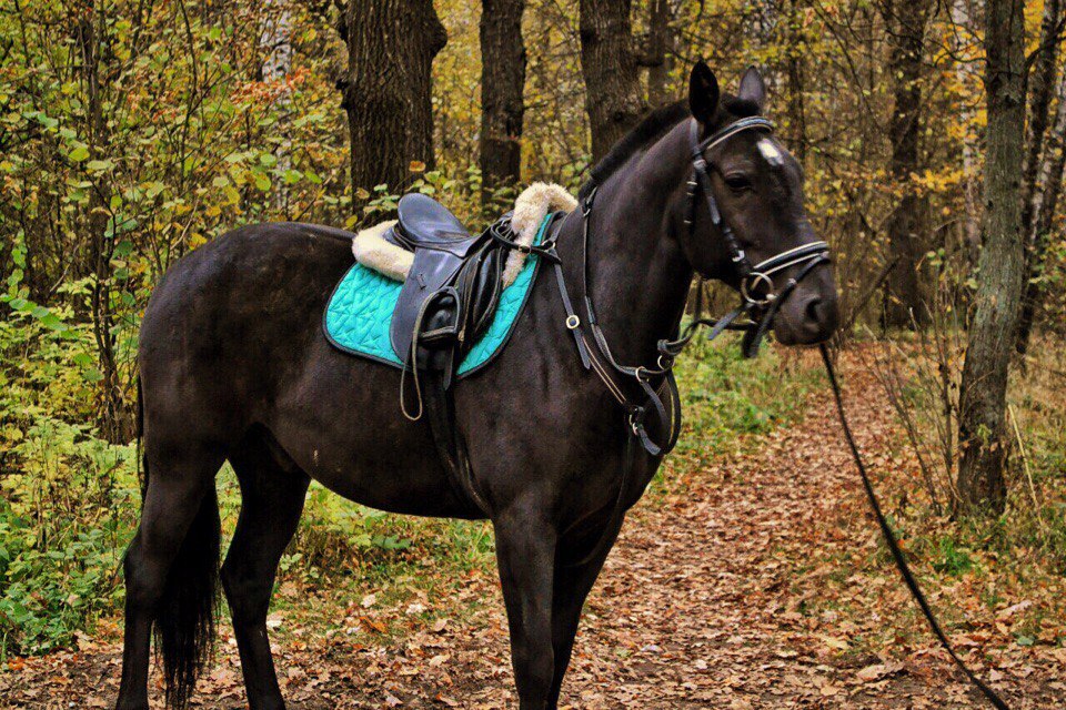 Мероприятие №18