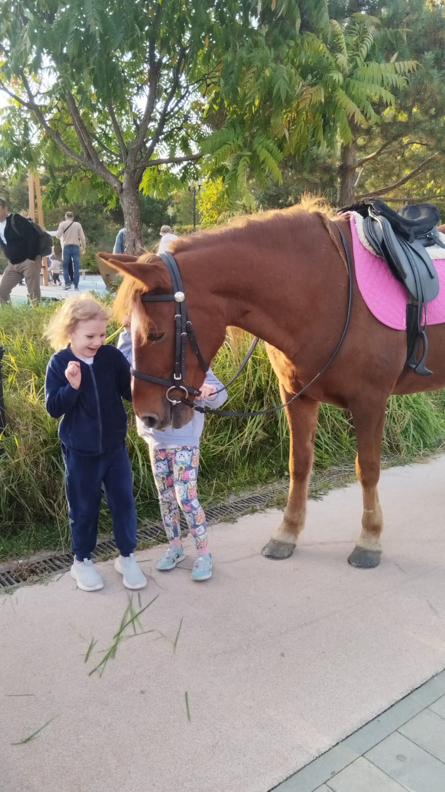 Мероприятие №23