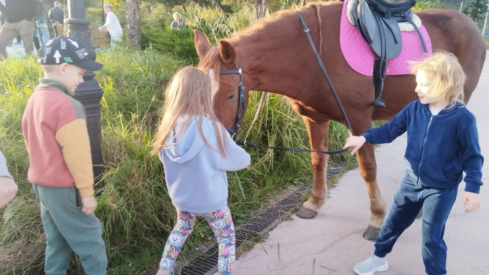 Мероприятие №24