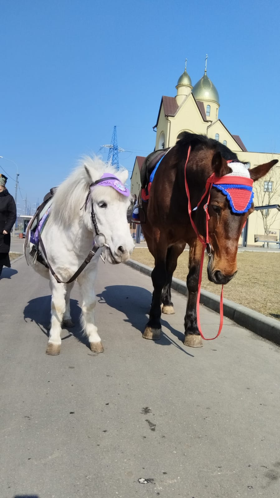 Мероприятие №26