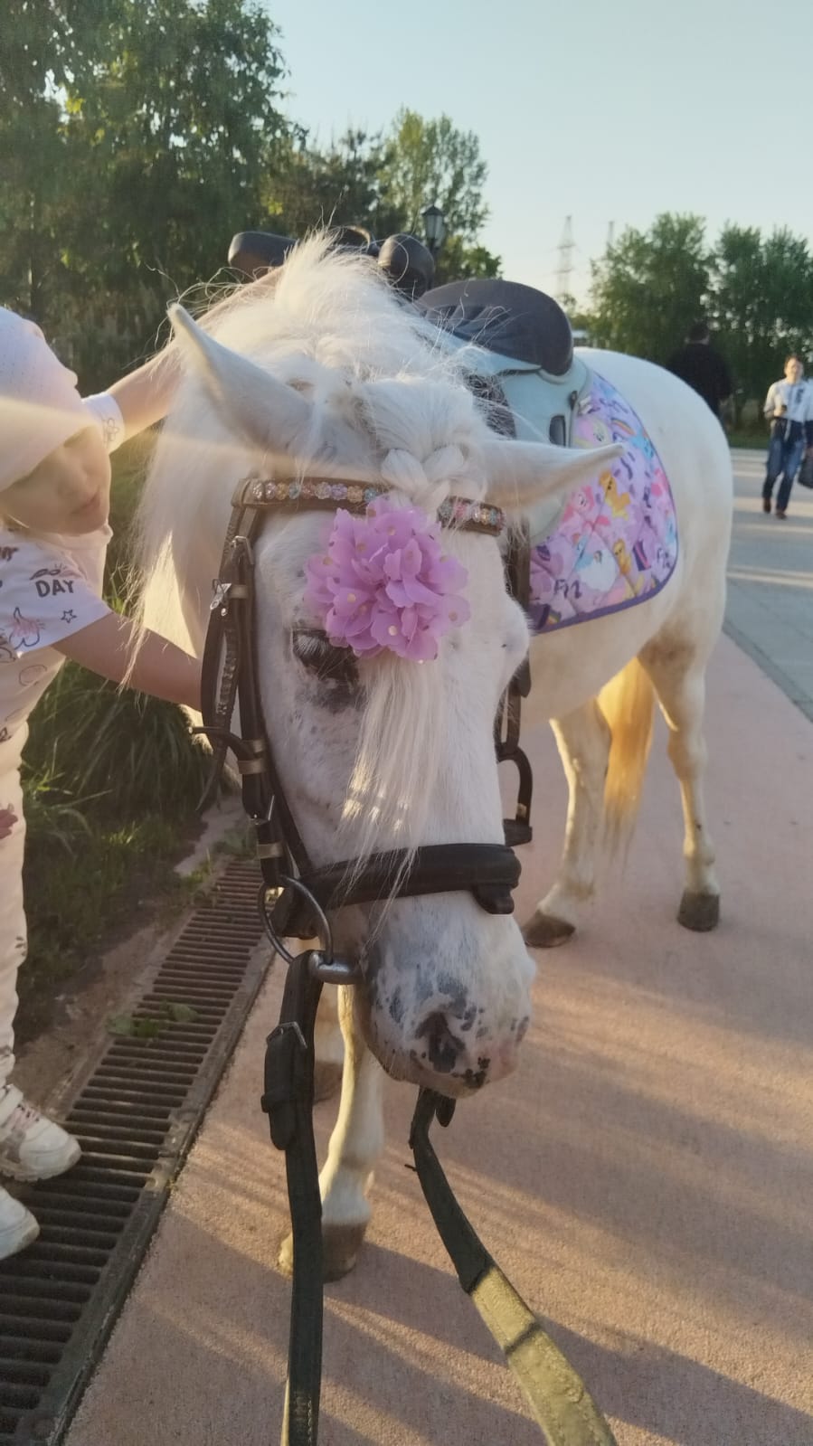 Мероприятие №30