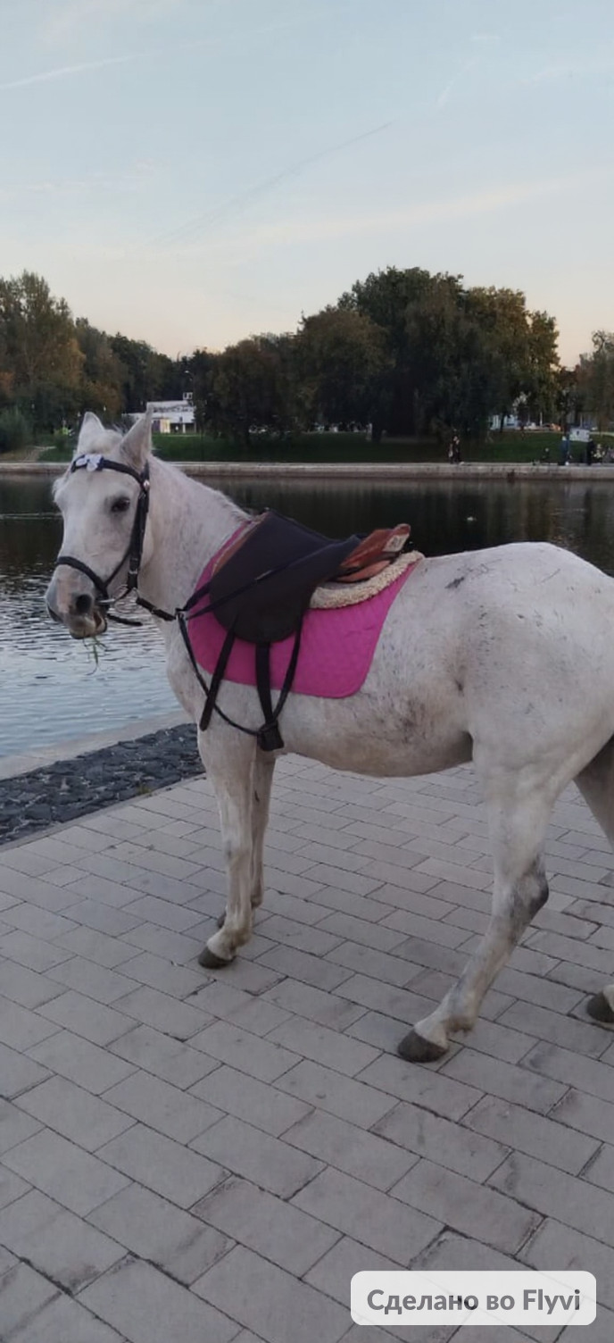 Мероприятие №6