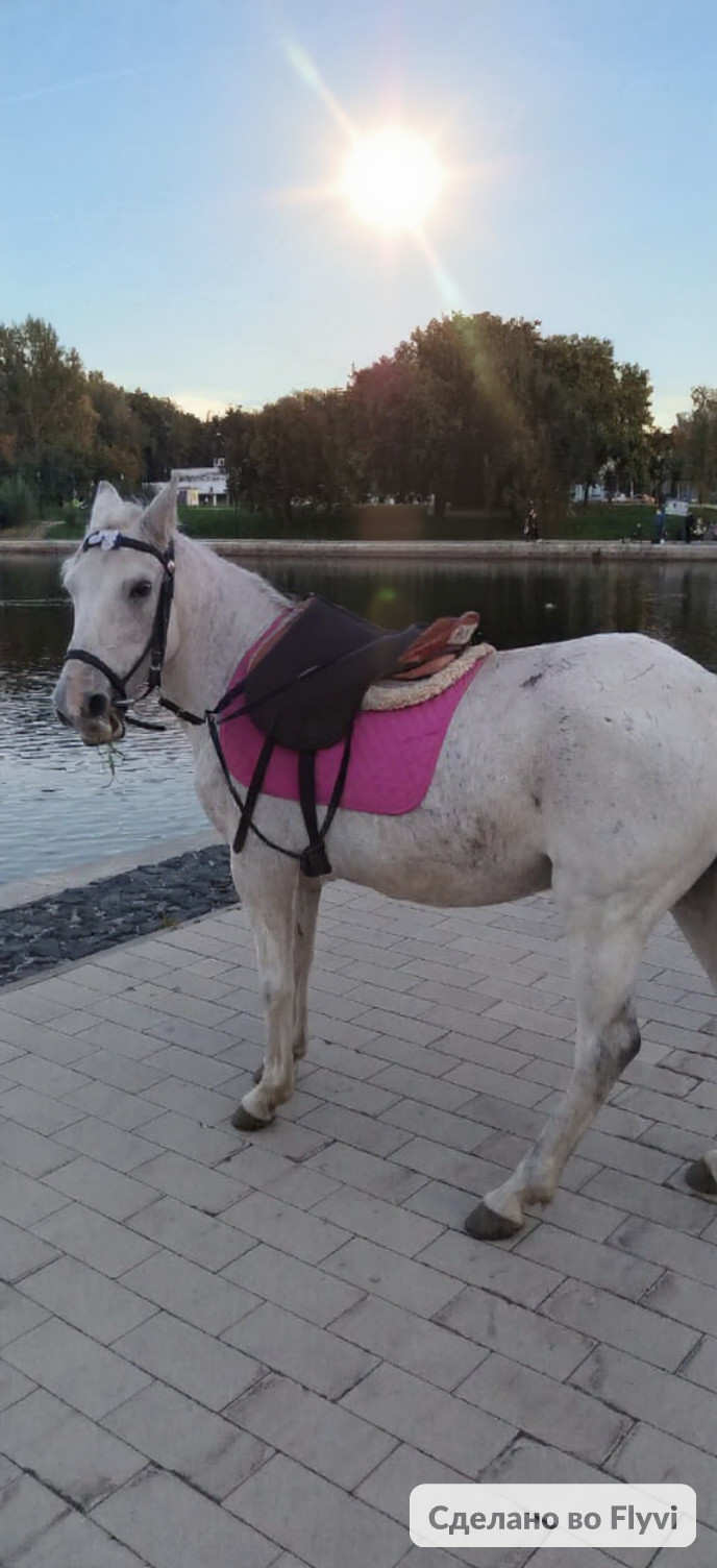 Мероприятие №8